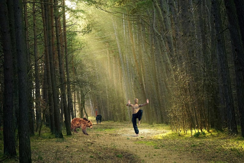 Kung Fu Training